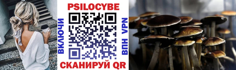 Галлюциногенные грибы Psilocybine cubensis  Приморск 