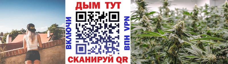 Бошки Шишки SATIVA & INDICA где найти наркотики Приморск